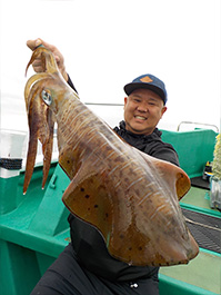 デカイカ　3,700グラム