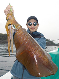 デカイカ　3,810グラム