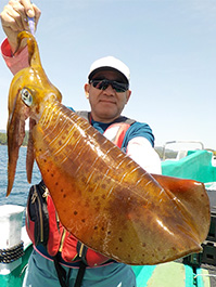 デカイカ　3,780グラム